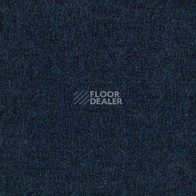 Грязезащитные покрытия Milliken Obex™ TILE Gyc 123 Dark Blue фото 1 | FLOORDEALER